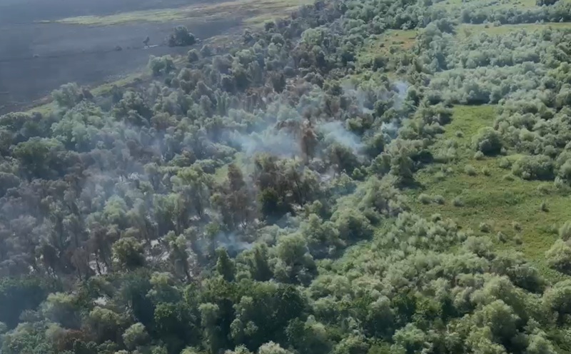 Pompierii tulceni încă luptă pentru stingerea incendiului din apropierea localităţii Chilia. Au ars 80 de hectare de fond forestier