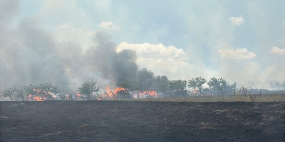 (VIDEO) Incendiu la o stână de oi din municipiul Tulcea: pompierii intervin de urgență