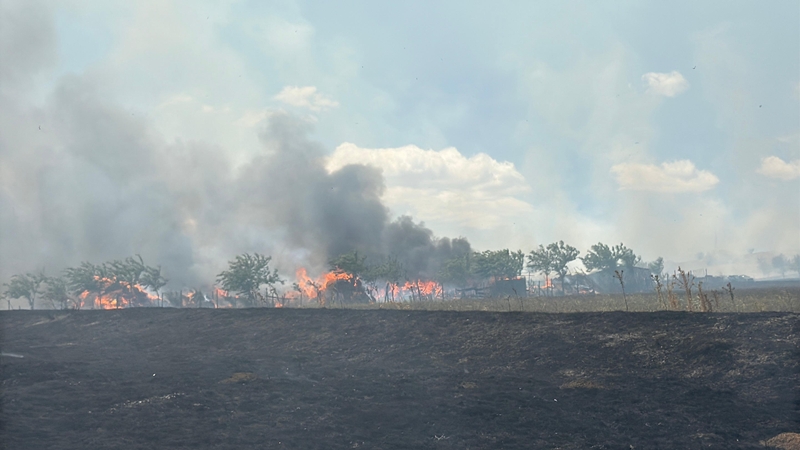 (VIDEO) Incendiu la o stână de oi din municipiul Tulcea: pompierii intervin de urgență