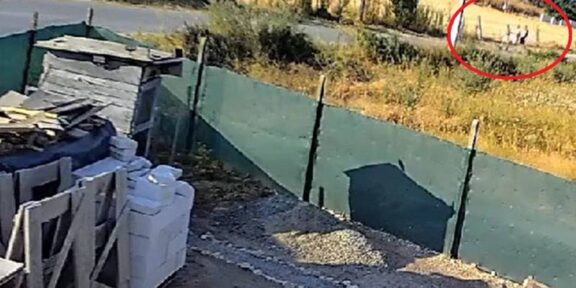 Incendiul din Poarta Albă, provocat intenționat: autorii, doi bărbați de 21 și 23 de ani, au fost identificați de polițiști