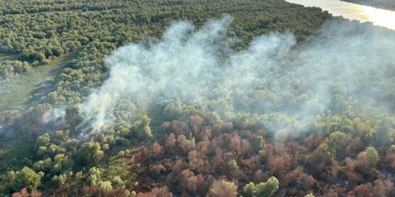 Incendiu de vegetaţie uscată, stuf şi fond forestier în localitatea Chilia Veche. Intervine și un elicopter Black Haw