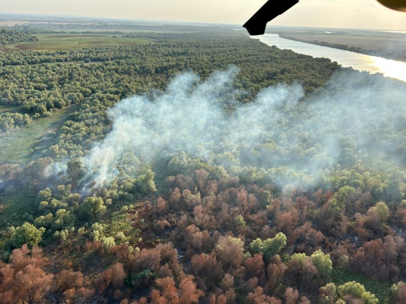 Incendiu de vegetaţie uscată, stuf şi fond forestier în localitatea Chilia Veche. Intervine și un elicopter Black Haw