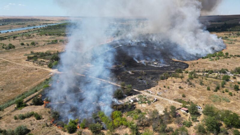 Incendiu puternic de vegetație la Medgidia! Flăcări violente au izbucnit pe un câmp