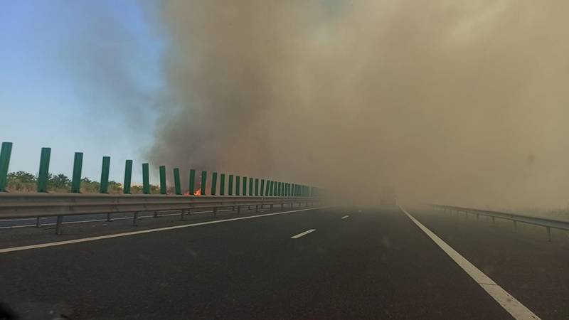(FOTO/VIDEO) Incendiu de vegetație între Medgidia și Valea Dacilor: traficul pe Autostrada A2, afectat