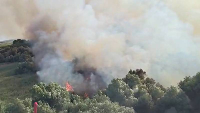 (VIDEO) Pompierii tulceni luptă de zile întregi pentru a stinge incendiul de vegetație și fond forestier de la Chilia Veche