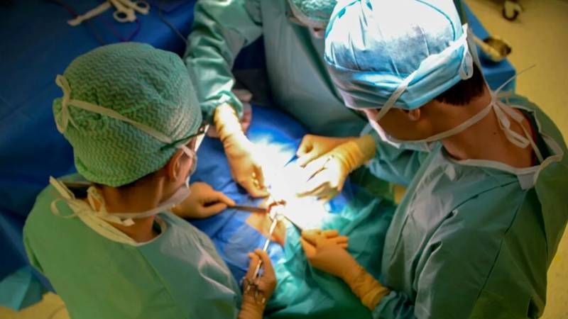 Premieră în medicină: chirurgii au transplantat un plămân de porc într-un pacient aflat în moarte cerebrală
