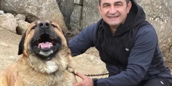 Familia românului mort în Spania are nevoie de ajutor pentru repatriere. Mircea a murit încercând să salveze caii unui prieten