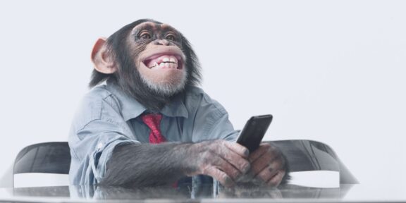 Constanța între “monkey business” și încrederea în administrație