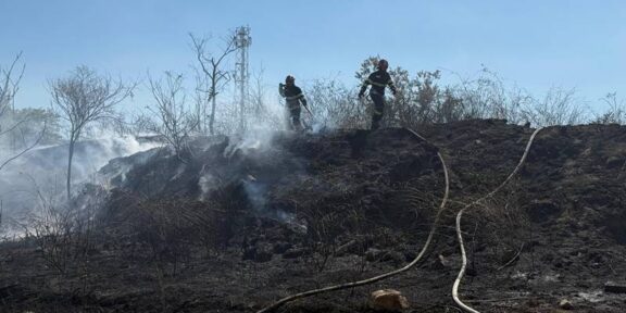 (VIDEO) Incendiu de vegetație uscată cu posibilitate de propagare la mai multe locuințe, în localitatea Murighiol