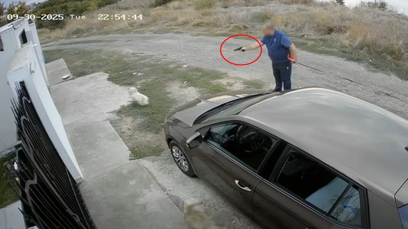 CONSTANȚA. Bărbatul care a tras cu pistolul într-un bichon, amendat cu 7.000 de lei: polițiștii i-au confiscat și arma